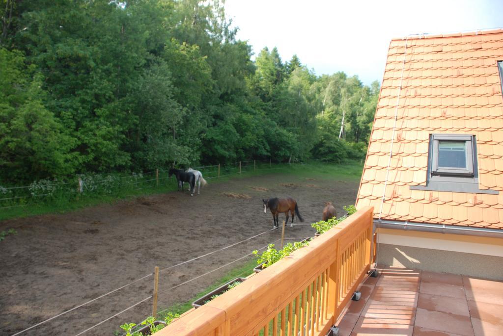Ferienwohnung Penzion Staj Návary Exterior foto